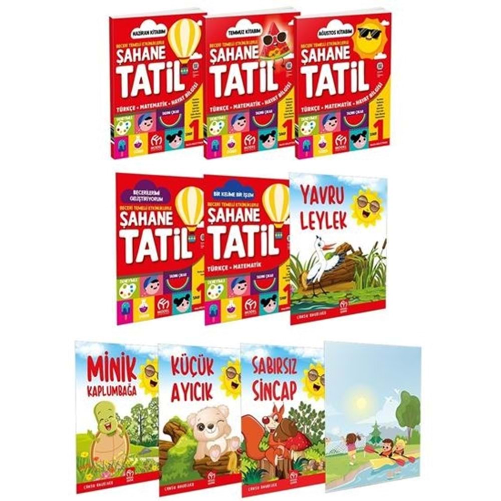 1.Sınıf Şahane Yaz Tatil Kitabı Seti