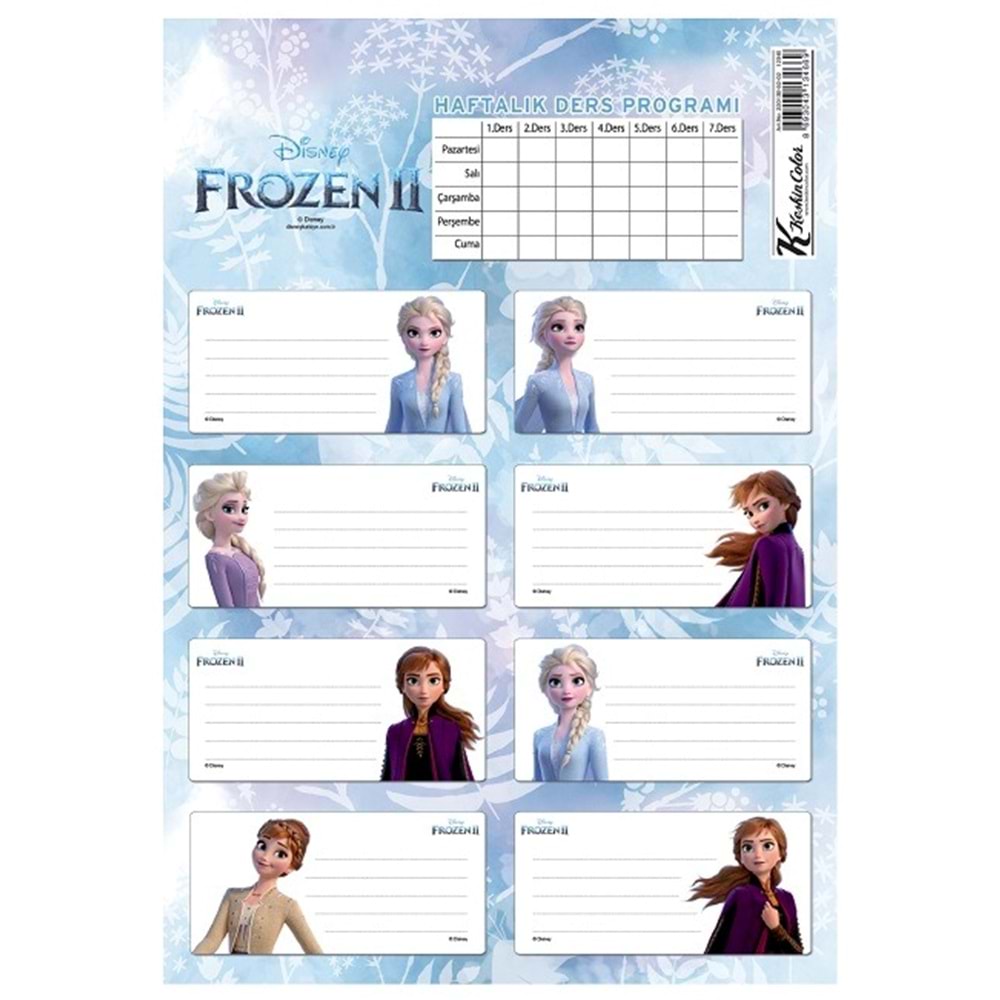 Frozen 2 Ders Programlı 3 LÜ Etiket