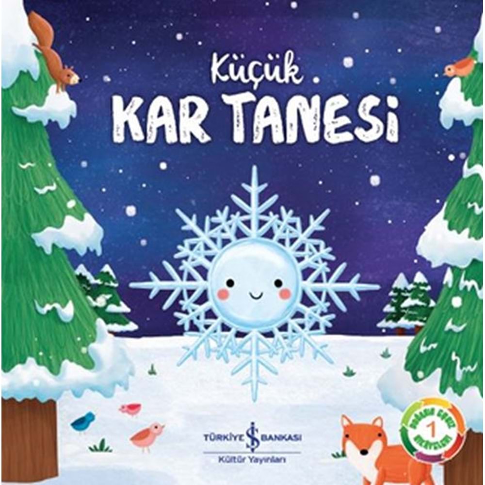 Küçük Kar Tanesi Tanesi-Doğanın Eşsiz Hikasyesi 1