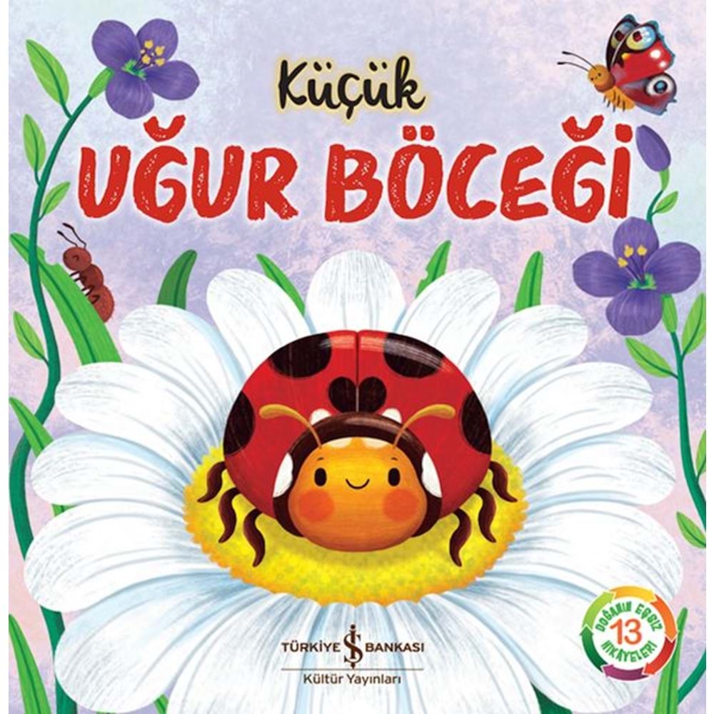 Küçük Uğur Böceği-Doğanın Eşsiz Hikayeleri 13
