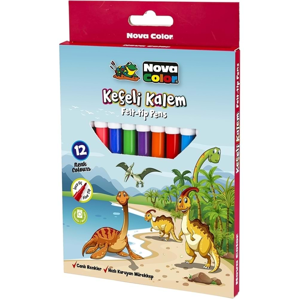 N.Color Keçeli Kalem 12 Li Set