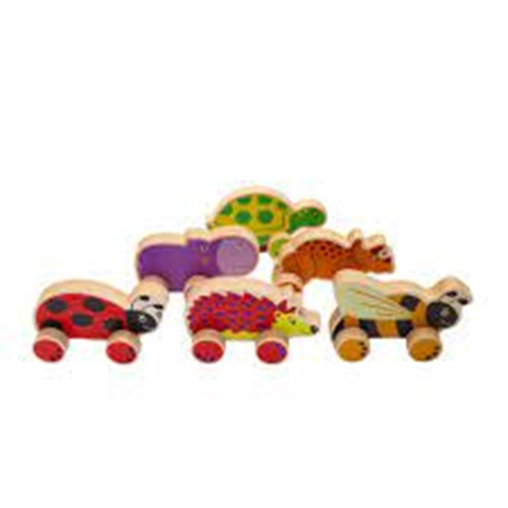 Panda Safari Cars Display (6 Asorti)Kg-9025 Kg-9025