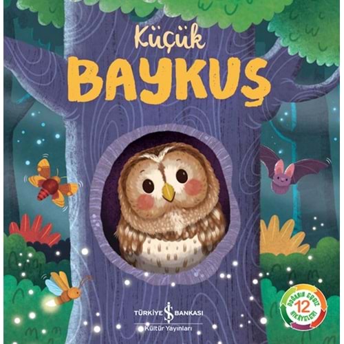 Küçük Baykuş-Doğanın Eşsiz Hikayeleri 12