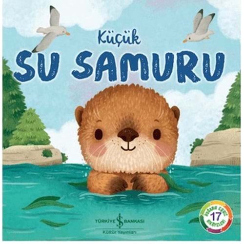 Küçük Su Samuru-Doğanın Eşsiz Hikayeleri 17