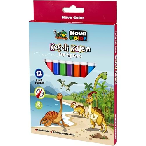 N.Color Keçeli Kalem 12 Li Set