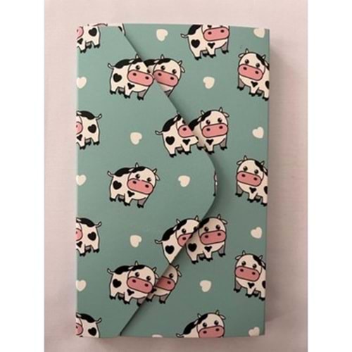 Bam Tasarımlı Zarf Defter Bütün Modeller