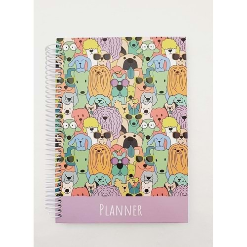 Liz 12X17 Ayraçlı Planner