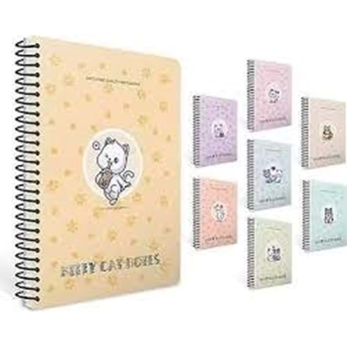 Gipta Defter Kitty Cat A4 Spiralli Pp Kapak 80 Yp. Kareli 7280