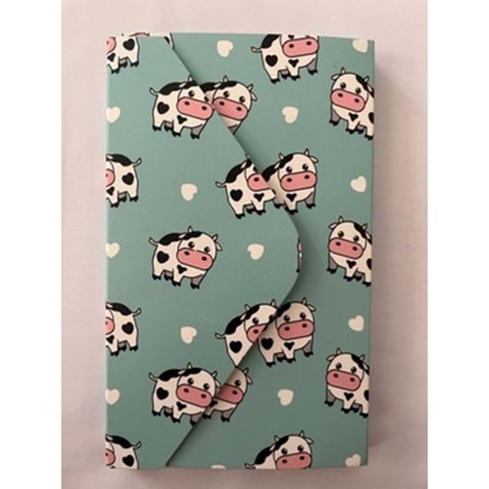 Bam Tasarımlı Zarf Defter Bütün Modeller