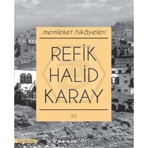 Memleket Meseleleri (yeni kapak)